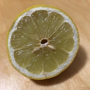 Orgastic Future - Jason Maxham - Experimenting with a twist of lemon in my water during the fast - August 19, 2017